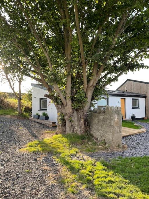 Tranquil, Secluded, Rural Cottage For Two Beaumaris Buitenkant foto